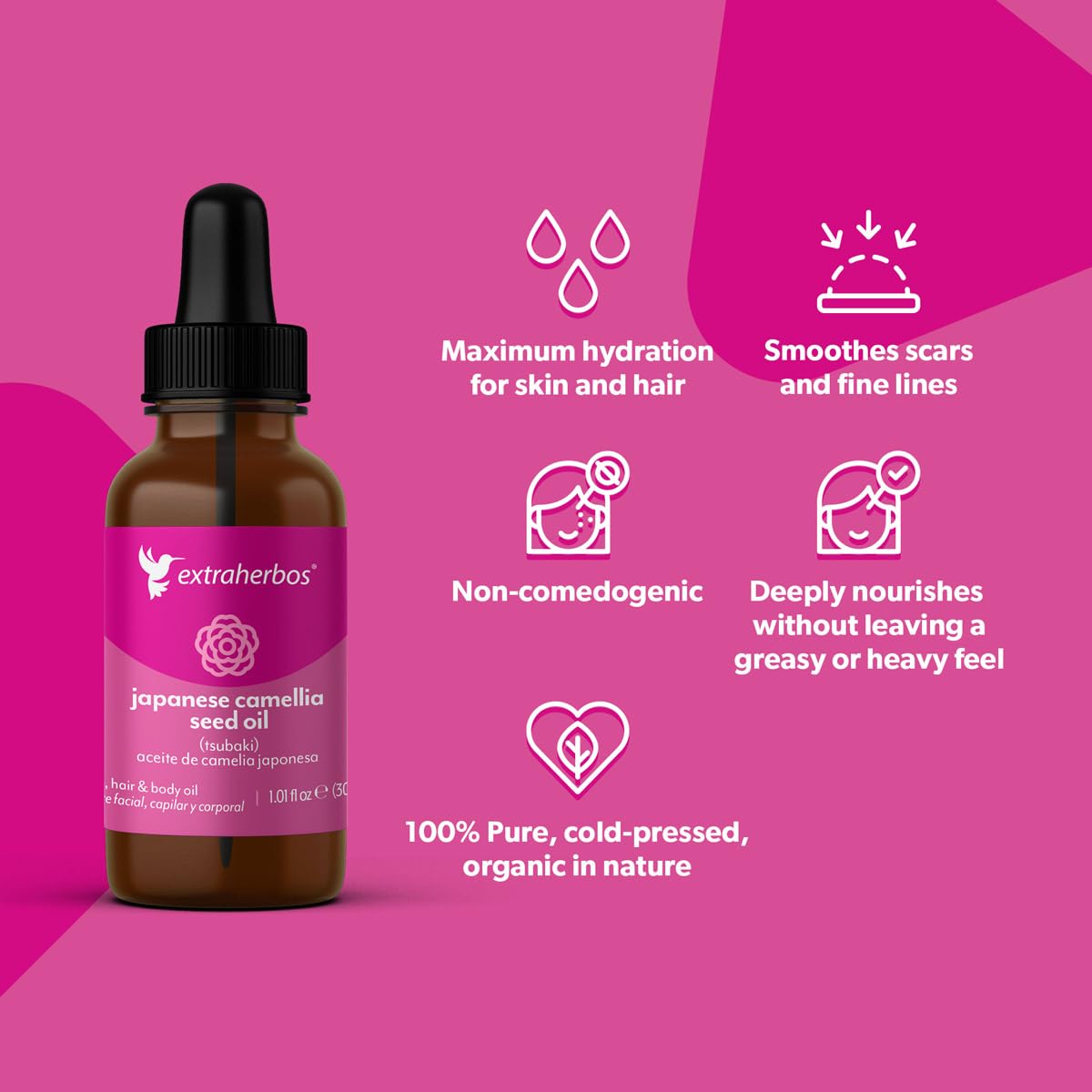 Amazon.com: Extraherbos Pure Japanese Camellia Oil (Tsubaki) - 100