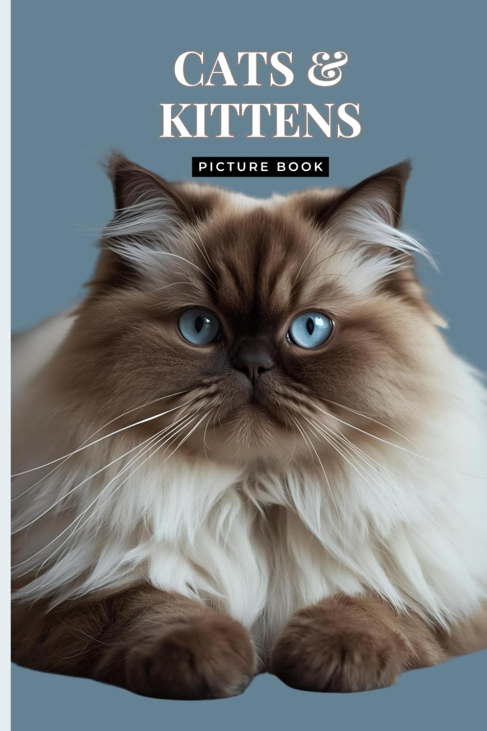 Cats & Kittens Picture Book: A Gift Book for Alzheimer's Patients and Seniors with Dementia (Mindful Alzheimer's and Dementia Activities)      Paperback – Large Print, November 26, 2025