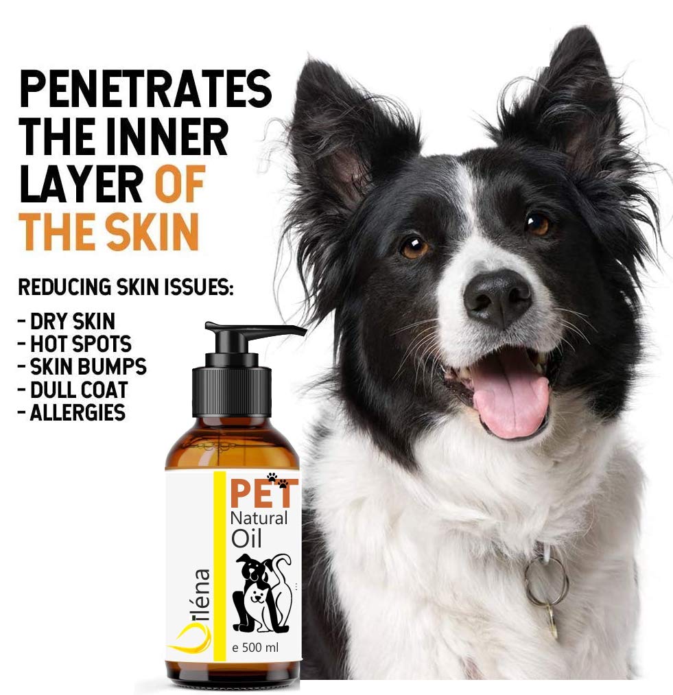 Huile de Saumon Premium pour Chiens et Chats | Omega 3, 6, 9 et Vitamine E | Santé, Énergie, Système Immunitaire | Pelage et Peau Sains, 5000 ML