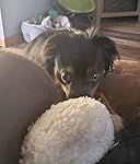 Review Image by David David