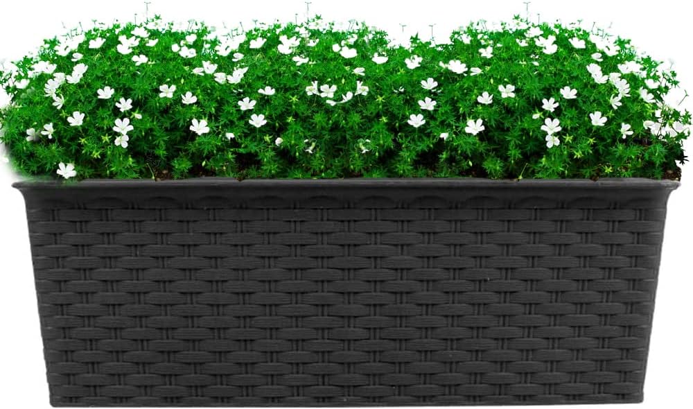 St@llion Grey Rectangle Rattan Planter, Modern Decor Planter Plastic Garden Flower Plant Pot Gloss Finish, Outdoor Indoor Plant, Large Plant Pot- 10cm x 27cm x 10cm (Pack of 2)