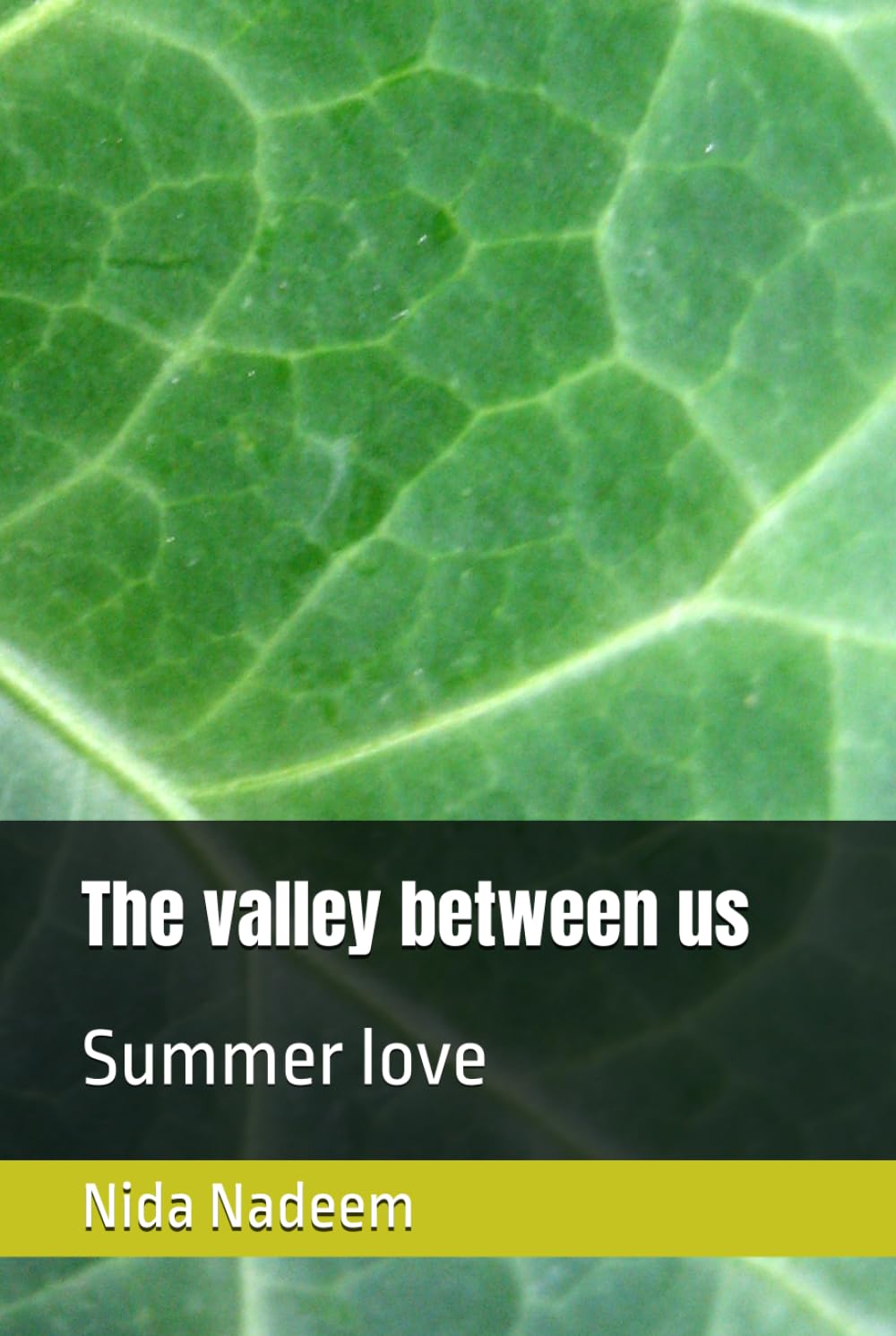The valley between us: Summer love