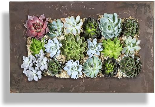 Vandue Modern Home Living Wall Galvanized Steel/Zinc Succulent Planter Rust Zinc, Horizontal 18 Pocket