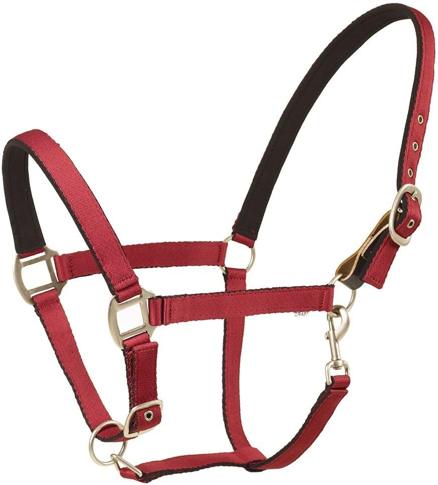 Centaur Solid Cushion Padded Breakaway Halter