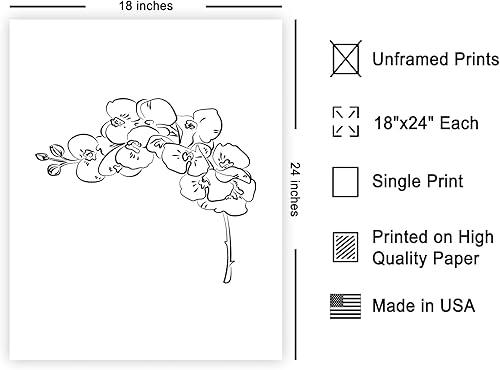 Miniatura 598 de Poster Master Póster de peonías – Estampado de flores retro – Ilustración floral – Ilustración en blanco y negro – Diseño de línea y abstracto –