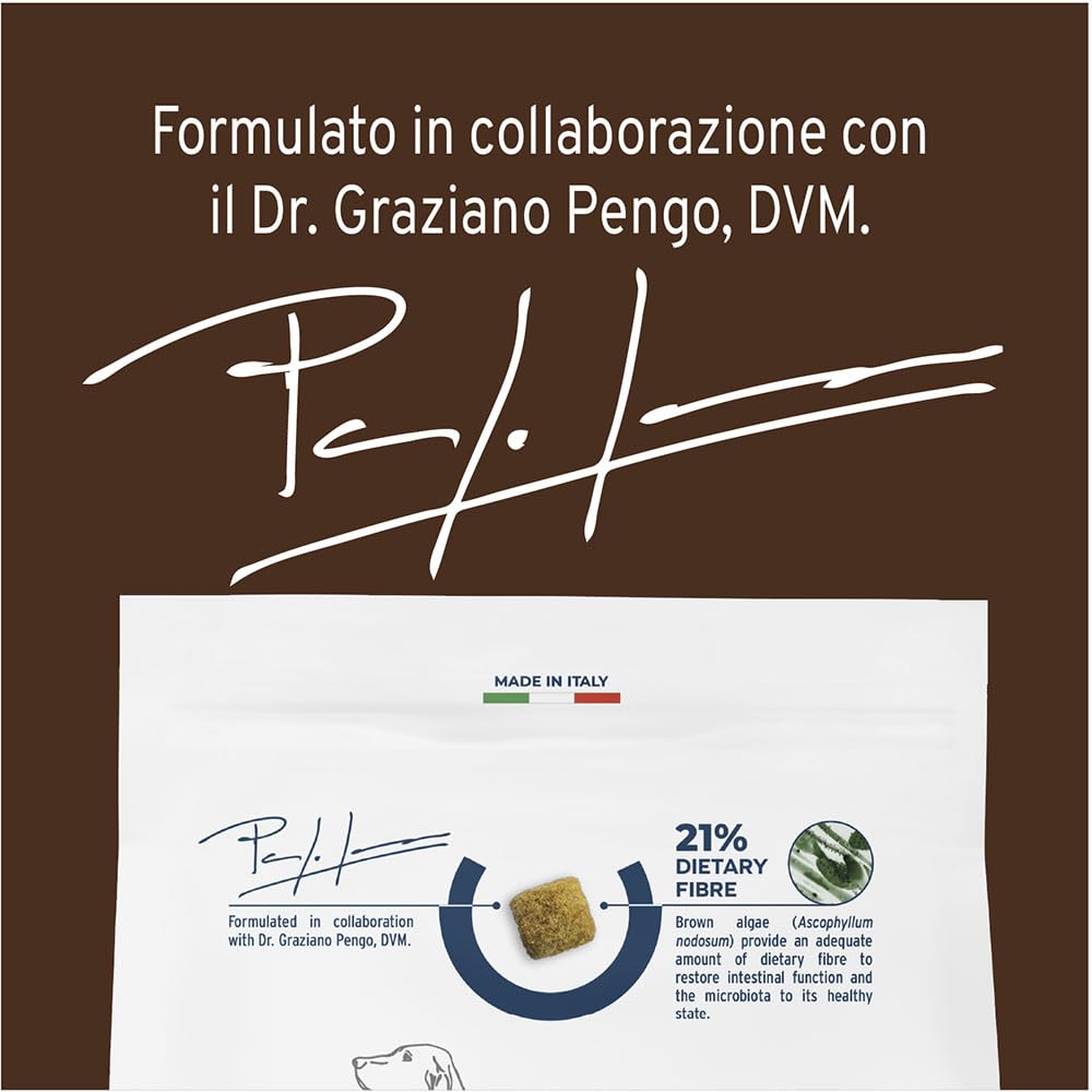 FORZA10 Dog Active Intestinal Colon FASE 2 | Agnello e Sorgo | Alimento Dietetico per Sensibilità Intestinale | Cibo Secco per Cani | Sacco da 10 Kg