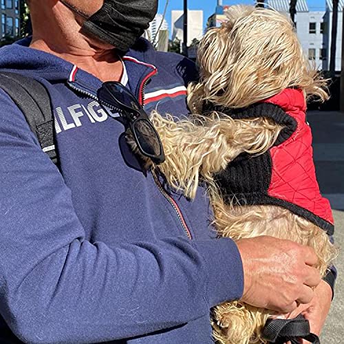 Image of Gooby Fashion Vest Dog Jacket, Red, Large | Quilted bomber, water-resistant; Stretch knit bottom; Dual D-ring leash; Pain-free zipper guard; Warm