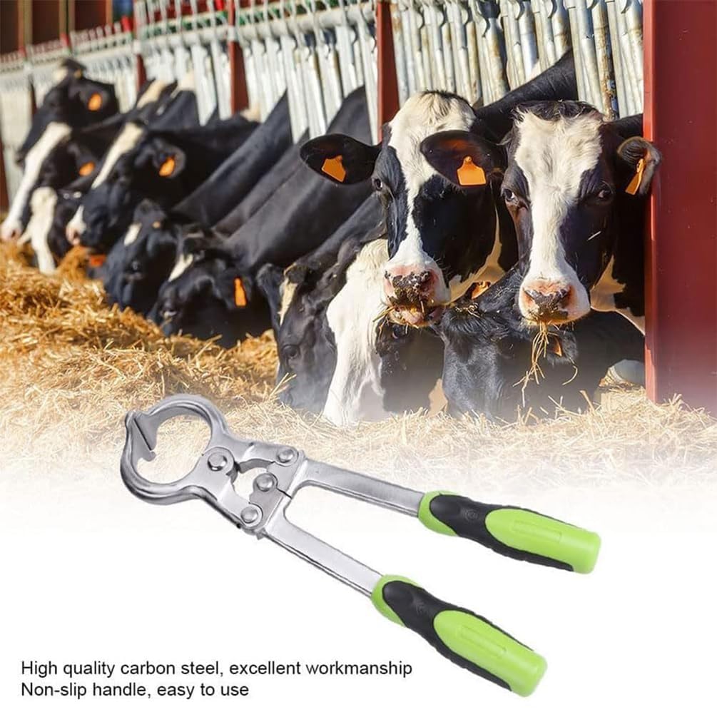 Alicates castradores de Ganado sin Sangre para toros y ovejas, de Acero Inoxidable, Herramienta para castrar Animales de Granja, Ganado Vacuno, ovejas, Caballos y Cabras(Cattle)