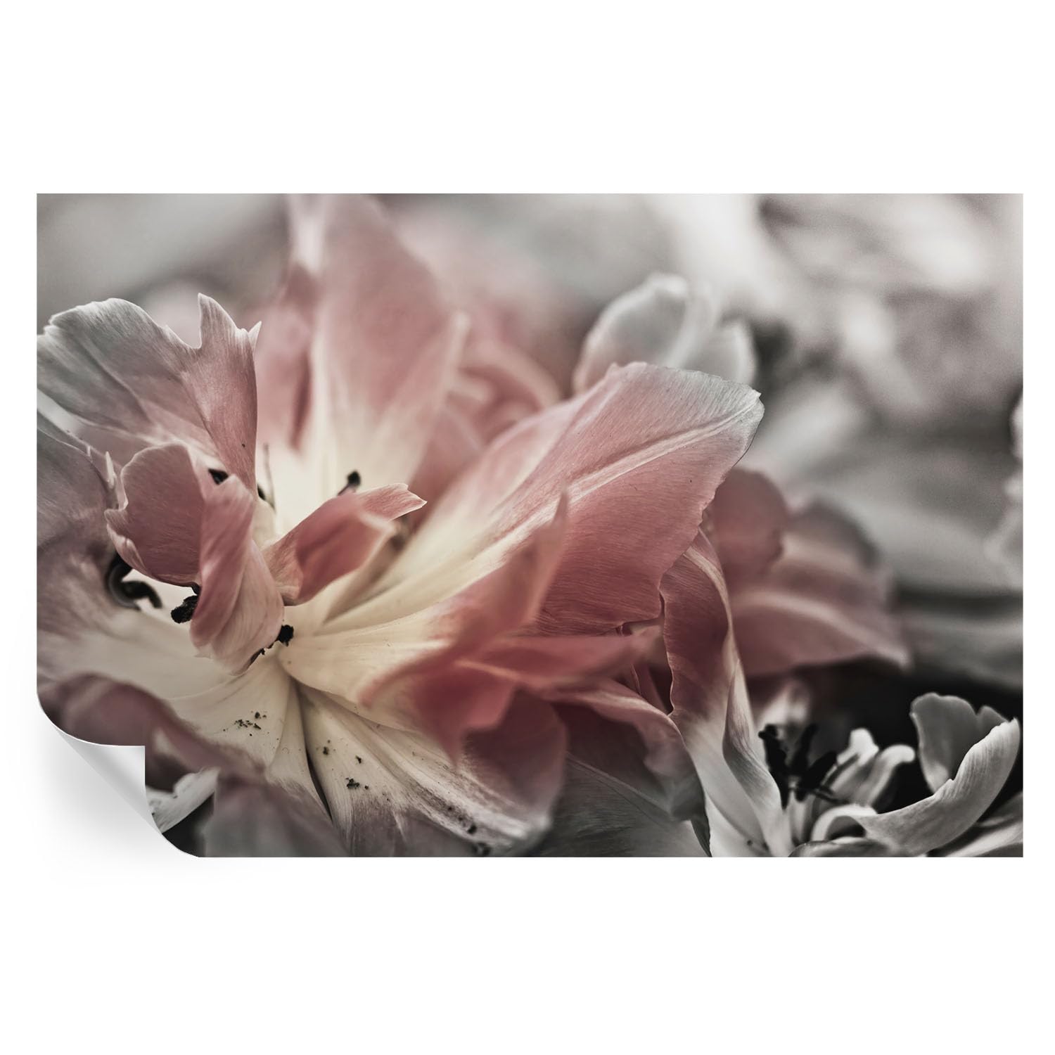Papel pintado autoadhesivo clásico flor pastel 104x70 cm para murales y vinilos