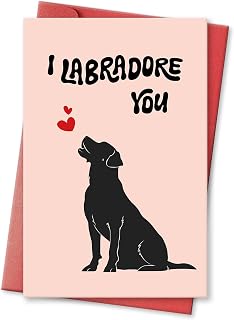 Funny Valentines Card for Lab Lovers, Labrador Valentine Card for Friends Family, Dog Valentine Card for Labrador Owner, Lab Galentine’s day card, I Labradore You