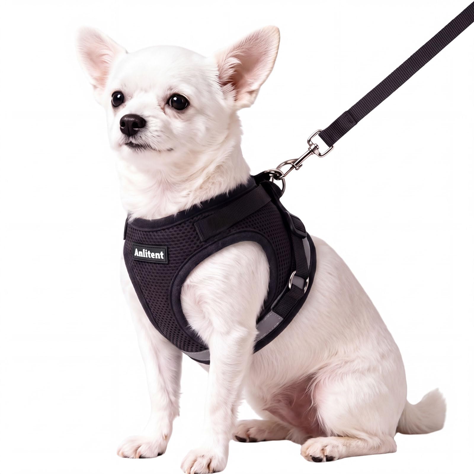 Anlitent Dog Harness and Leash Set for Small Sized Dogs,Large (5-7kg)