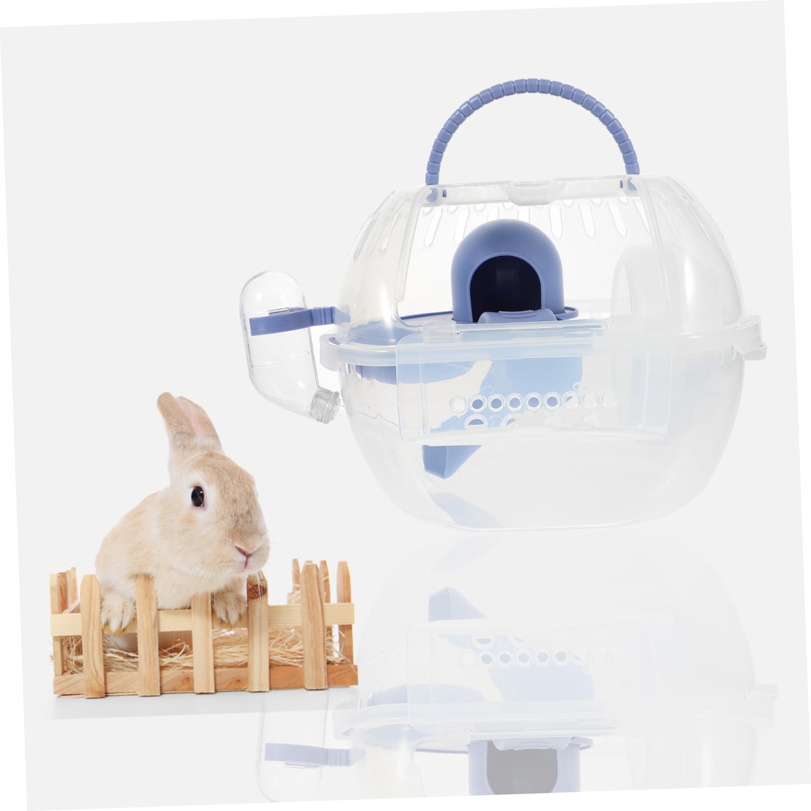 Happyyami Gabbia Portatile per Criceti e Furetti, Contenitore in Plastica Leggero e Robusto, per Viaggi e Picnic, Blu