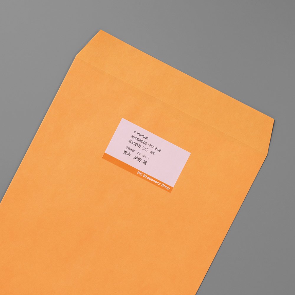 プラス いつものラベル 宛名・タイトル用 10面付 500枚入 ME-501S(48870) 