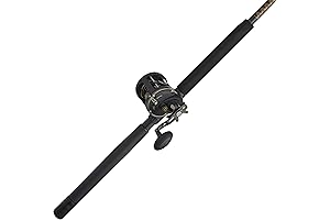 Penn Warfare Level Wind Saltwater Rod and Reel Fishing Combo