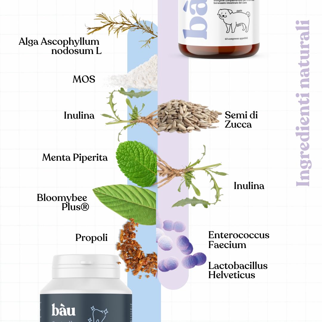 Bau Probiotici per Cani + Polvere Denti Antiplacca e Tartaro – Supporto Digestivo & Igiene Orale Totale – Fermenti Lattici, Alito Fresco e Riduzione Placca, Intestino Sano