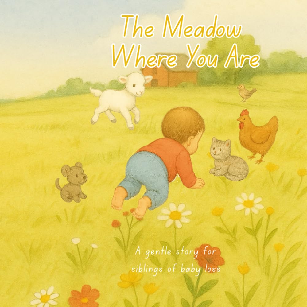 The Meadow Where You Are - A gentle story for siblings of baby loss