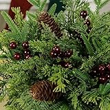 KKSTY Pack of 40 Artificial Pine Branch Pinecones Berry Set, Christmas Foliage Stems Greenery Twigs Faux Pine Cones Berries Picks for Vase DIY Craft Xmas Wreath Garland Home Decor (40, Red Berries) - Image 6