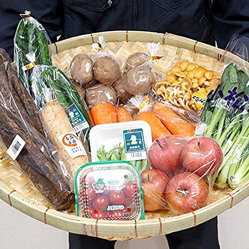 国産 おまかせ 野菜セット B 果物1品＋野菜9種類以上 野菜 旬野菜 季節野菜 人気 野菜詰め合わせ 定期 お取り寄せ