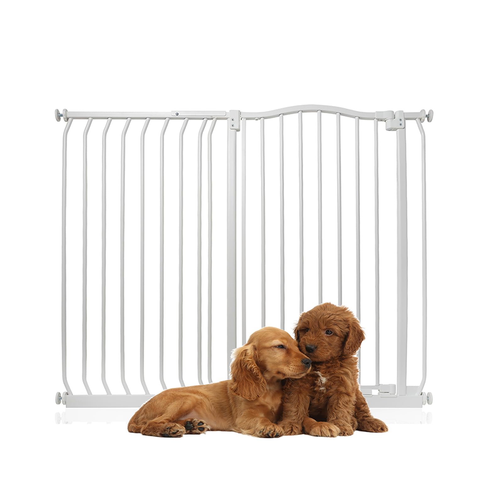 Bettacare Extra Tall Curved Top Dog Gate116Cm125CmMatt WhiteExtra Tall 100Cm In HeightPressure Fit Pet Gate from B&Q