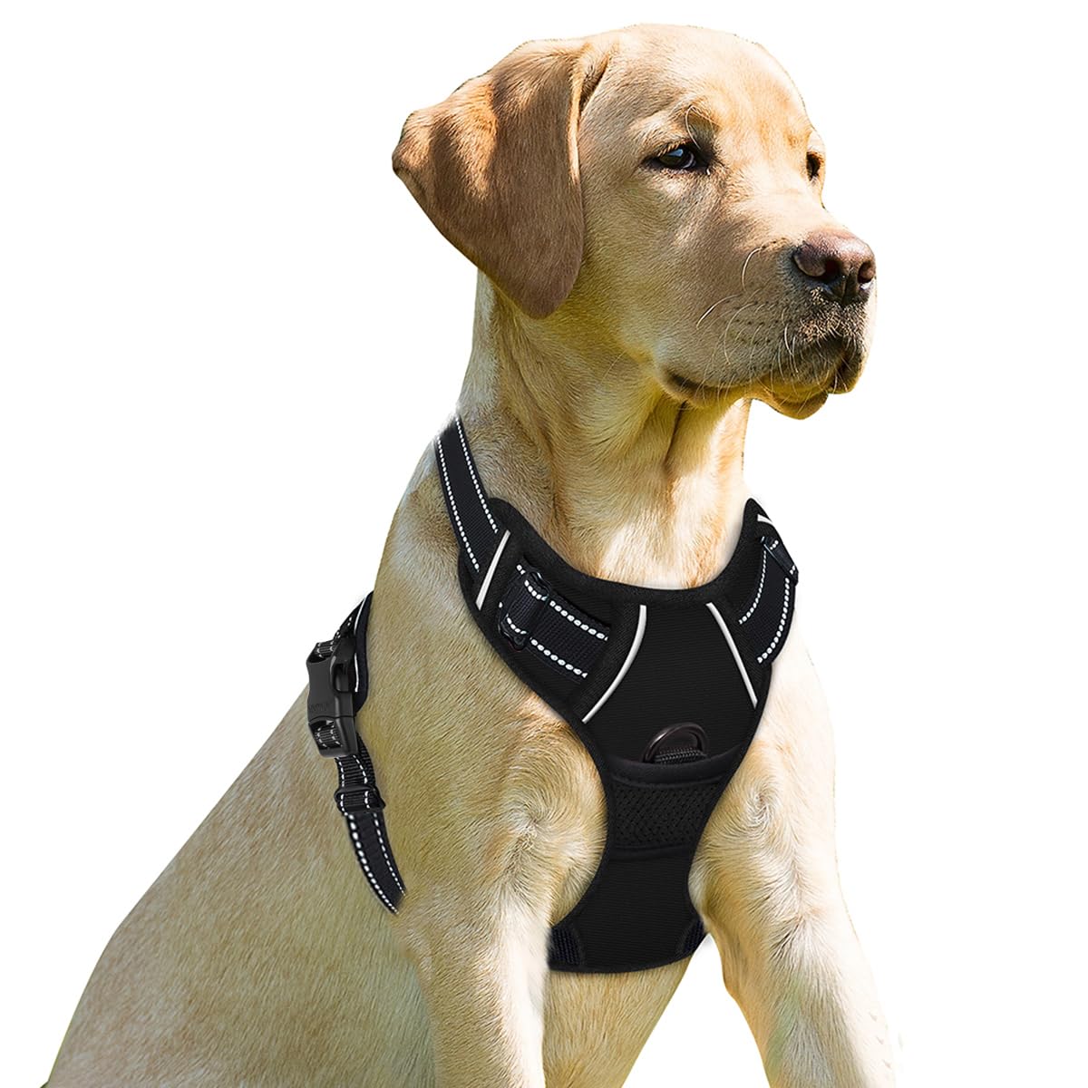 BARKBAY No Pull Dog Harness Front Clip Heavy Duty Reflective Easy Control Handle for Large Dog Walking(Black,XS)