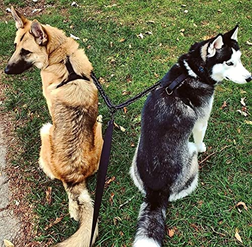 Edipets, Doppelleine fur Zwei Hunde, Ausziehbar, Reflektierend, Anti-Riemen, 360°, Verhedderungsfrei, für Hundetraining