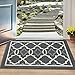 Zerbino ingresso, Skymico Zerbino Ingresso Esterno, Zerbino Ingresso Casa Simpatico ，A prova di Polvere ，Lavabile in Lavatrice Zerbino Ingresso Interno (Grigio Scuro, 50 x 80 cm)