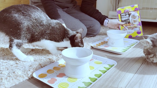 国産 猫用 ささみと猪の極細切り 超お得！ 6パックセット