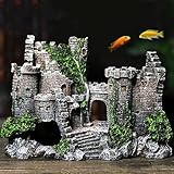 DXIA B08G1DFTFV lato 4