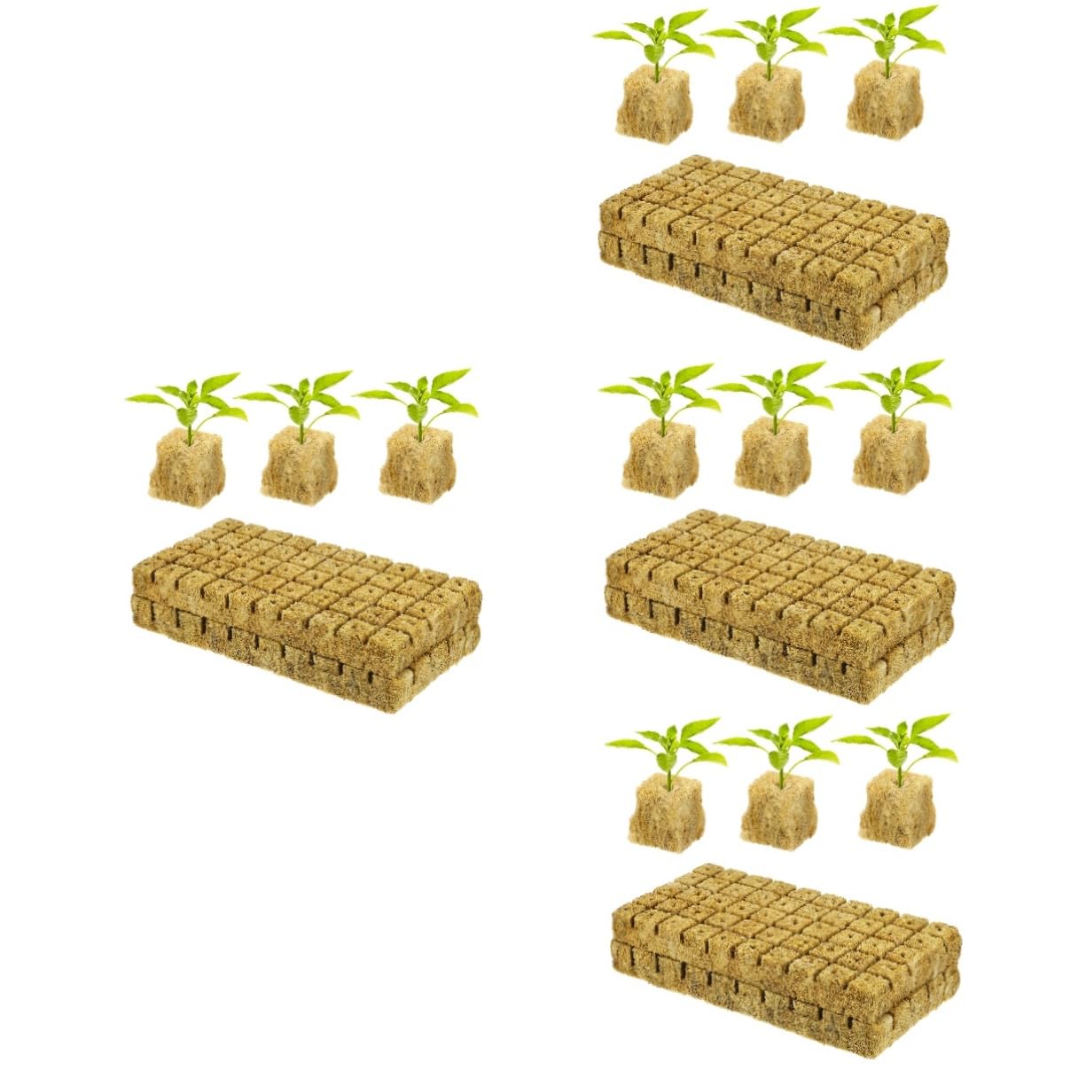 Sosoport 4 Set Radicamento Coltivazione delle Piante Propagazione dei Semi Spine Vegetali Spine Cubetti di Pianta Cubi per La Propagazione delle Piante 100 Pezzi * 4