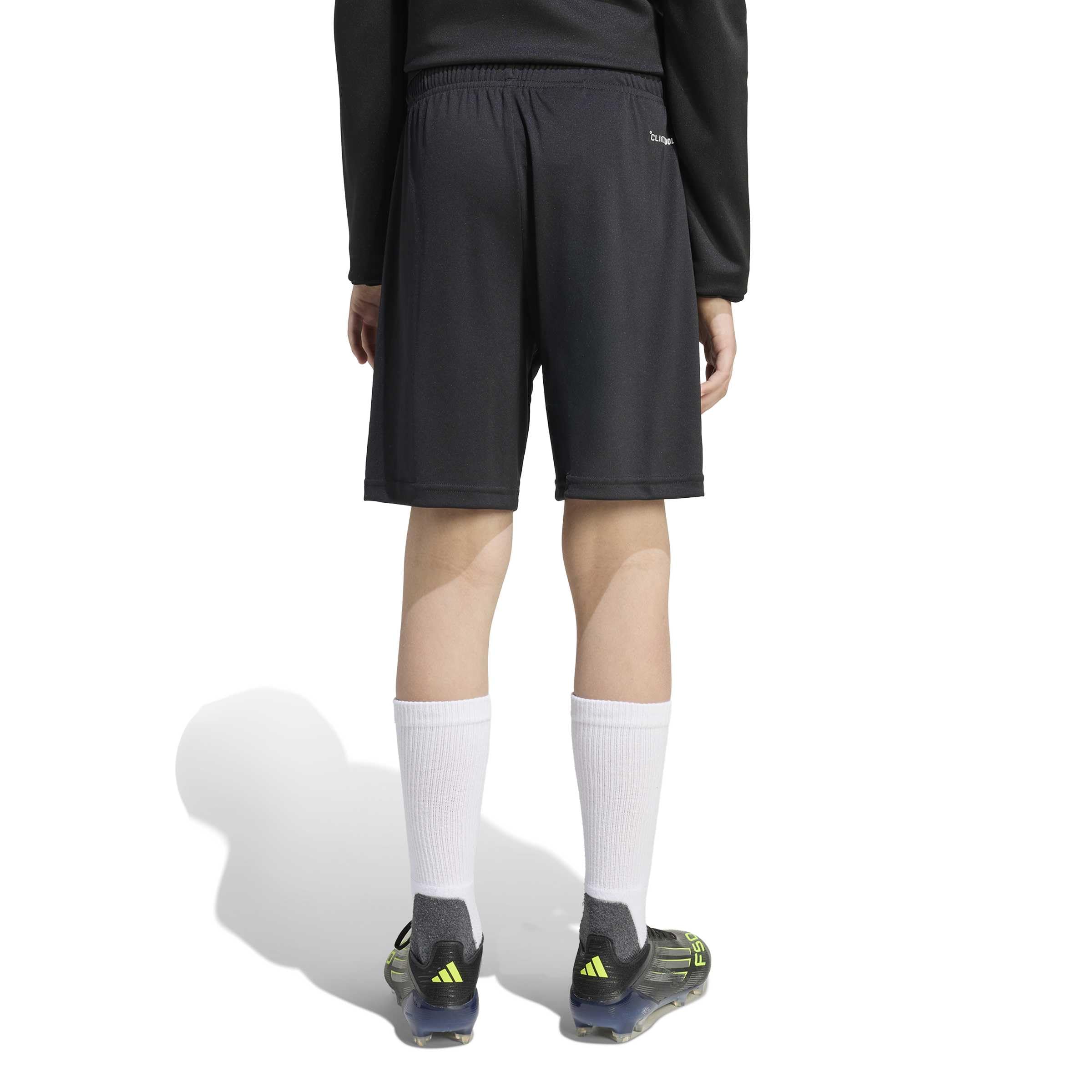 adidas Kids Pantalón Corto de Training Entrada26