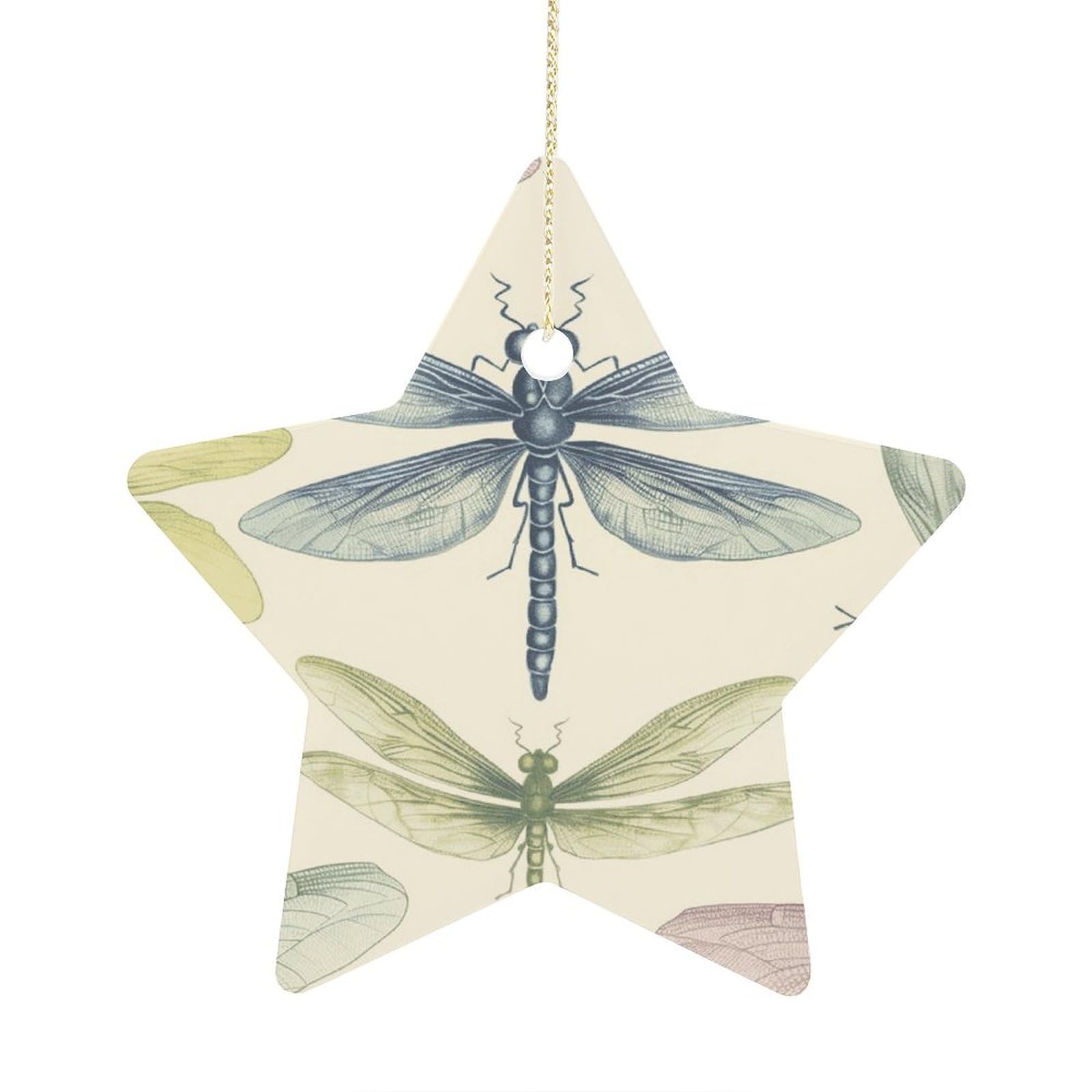 Fodpand Women's Style Dragonfly Drawing Ornament With String, Keepsake Hanging Decorations,Ceramic Ornaments For Men Indoor Home Holiday Party Gifts
