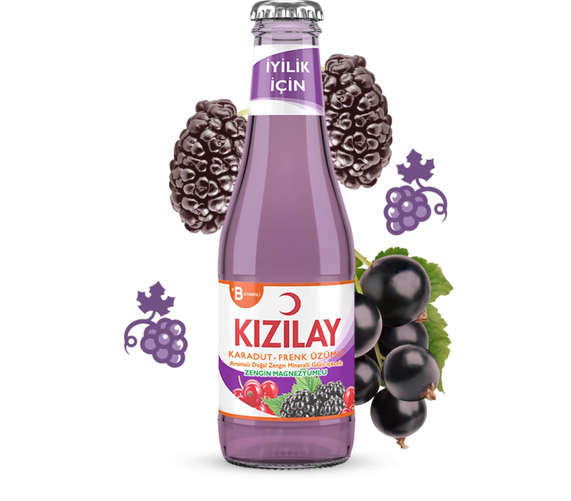 Kızılay Karadut Frenk Üzümü Aromalı Maden Suyu 6x200 ml