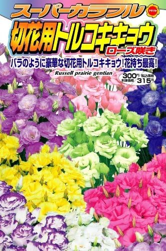 Amazon アタリヤ農園 ガーデニング用品 種 スーパーカラフル切花用トルコキキョウローズ咲き 花