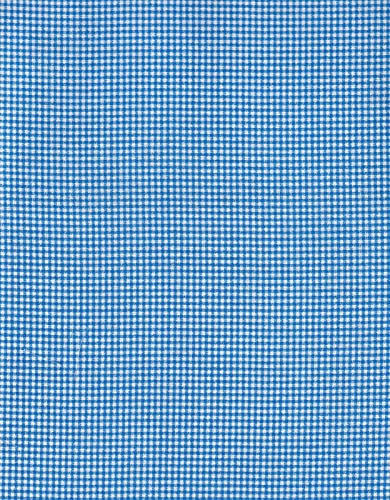 Wild Flowers Calico Collection 36006-102 Blue Gingham Cotton Fabric Fabric