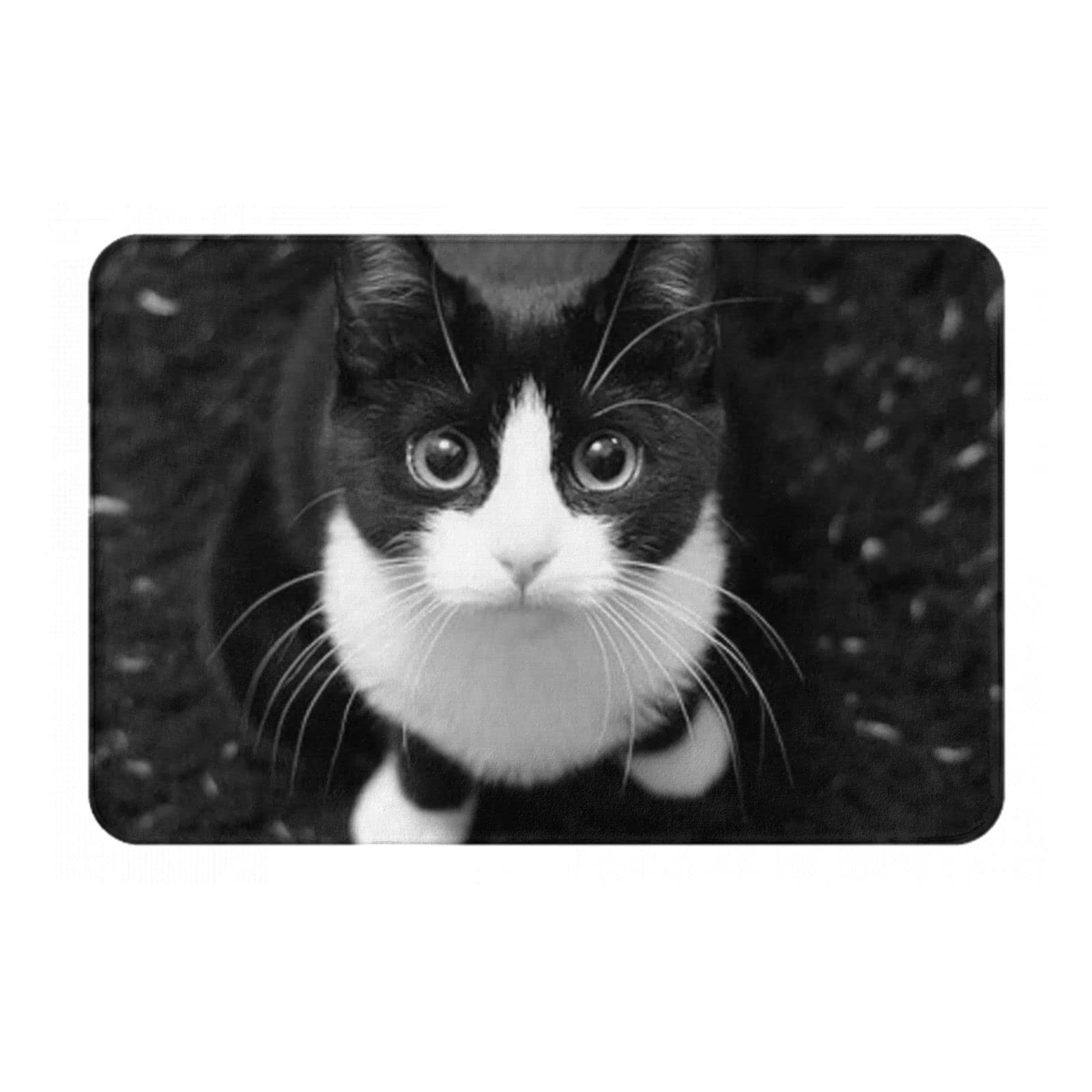 Amazon | 玄関マット 八割れ 猫 ハチワレ猫ちゃん バスマット