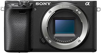 Amazon | SONY(ソニー) APS-C ミラーレス一眼カメラ α6400 ボディ