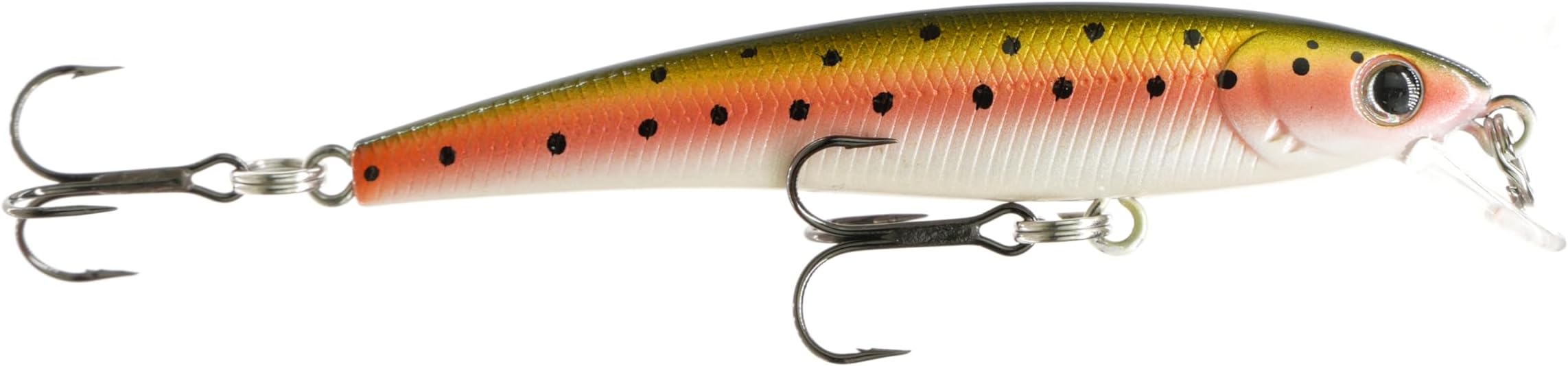 Trout Magnet Bundle
