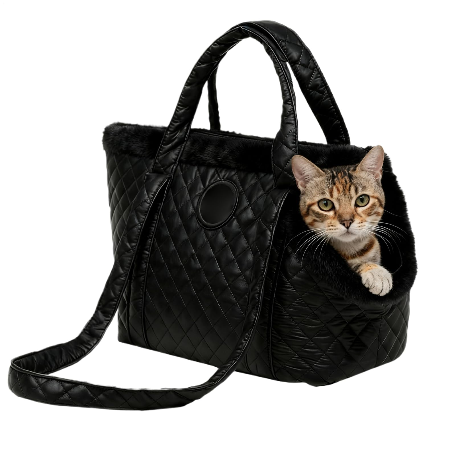 Transporte para gato resistente al agua y portátil para un viaje seguro