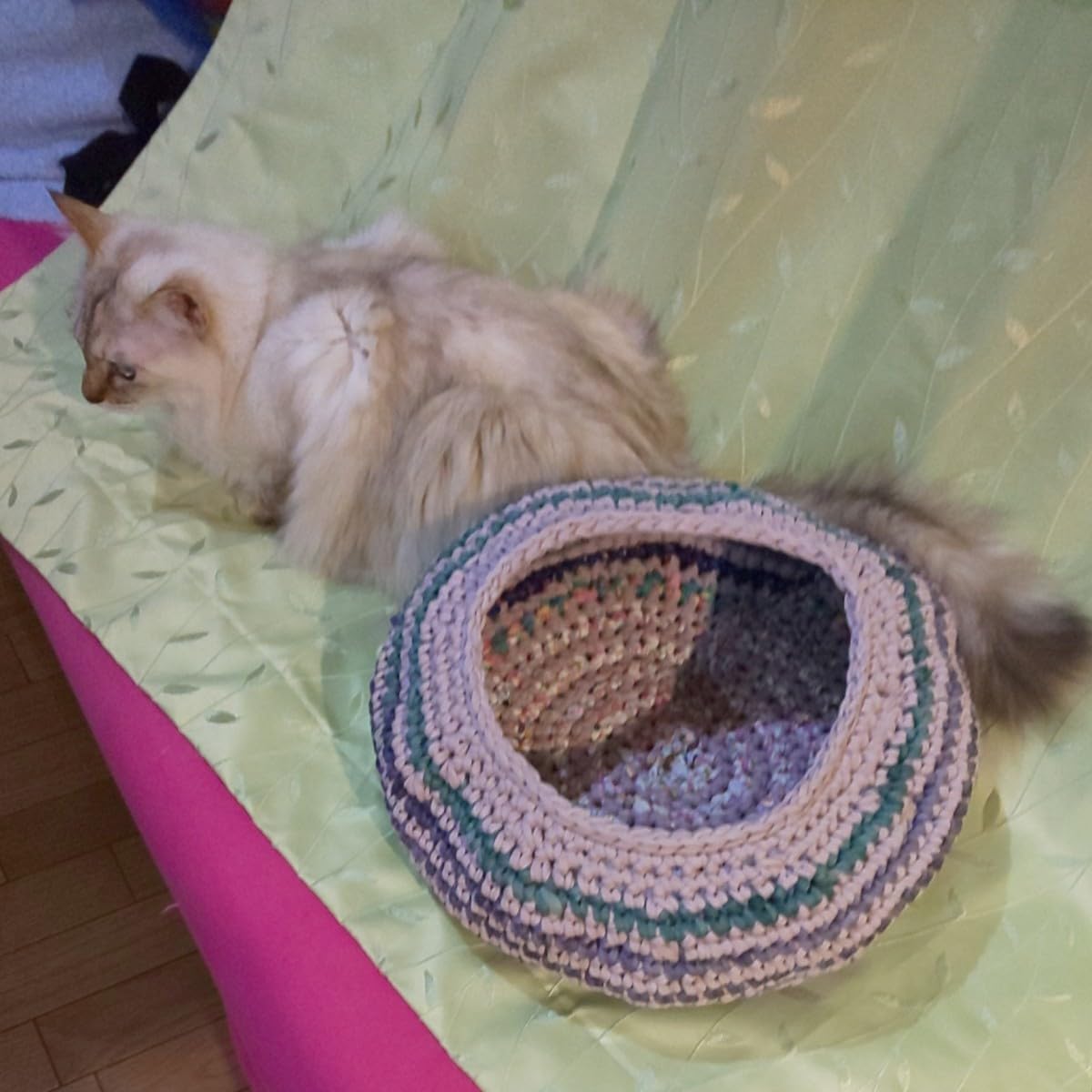 Amazon.co.jp: 猫丸型ベッド ちぐら Tシャツヤーン ざっくり : おもちゃ 