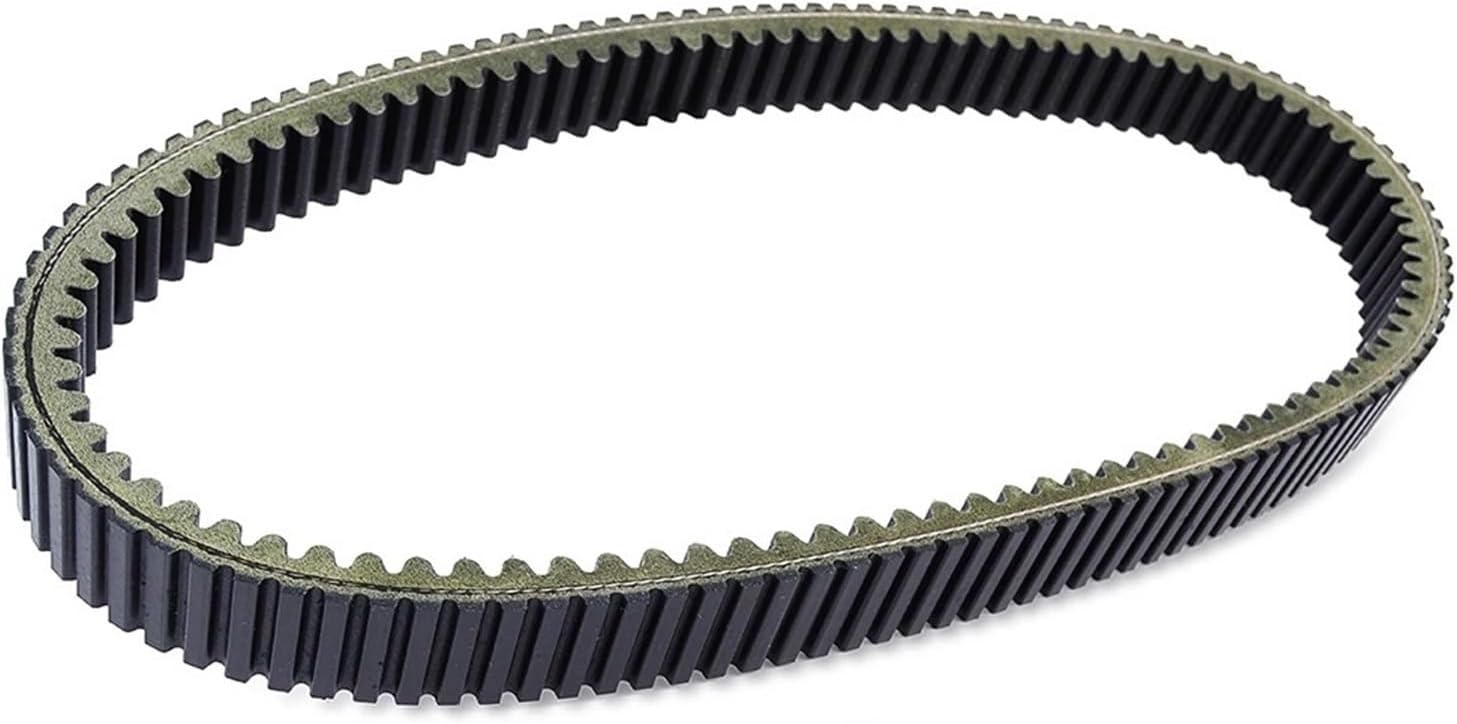 【大迫力！花（苞）が約13cmもある大型の大人ブラウン】アンスリウム センプレ 大迫力！花（苞）が約13cmもある大型の大人ブラウン】アンスリウム