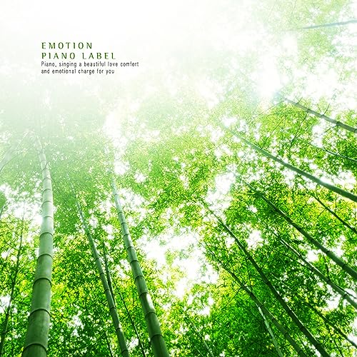 Amazon MusicでVARIOUS ARTISTSのHealing Music (Emotional Piano) That Can ...