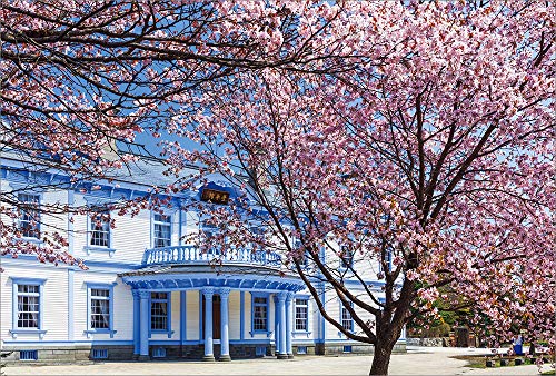 【Amazon.co.jp 限定】満開の桜と豊平館 ポストカード3枚セット P3-178