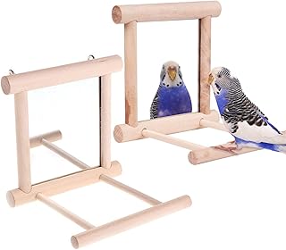 Bird Mirror, Bird Swing Parrot Cage Toys Swing Hanging Play with Mirror for Small Birds Greys Parakeet Cockatoo Cockatiel Conure Lovebirds Canaries Little Macaw African Parrot (2pc)