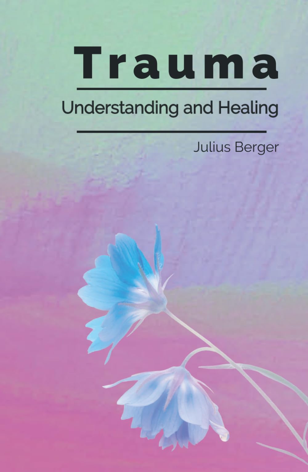 Understanding and Healing Trauma: A Practical Guide to Triggers, Flashbacks, and Calming Your Nervous System to Reclaim Inner Safety