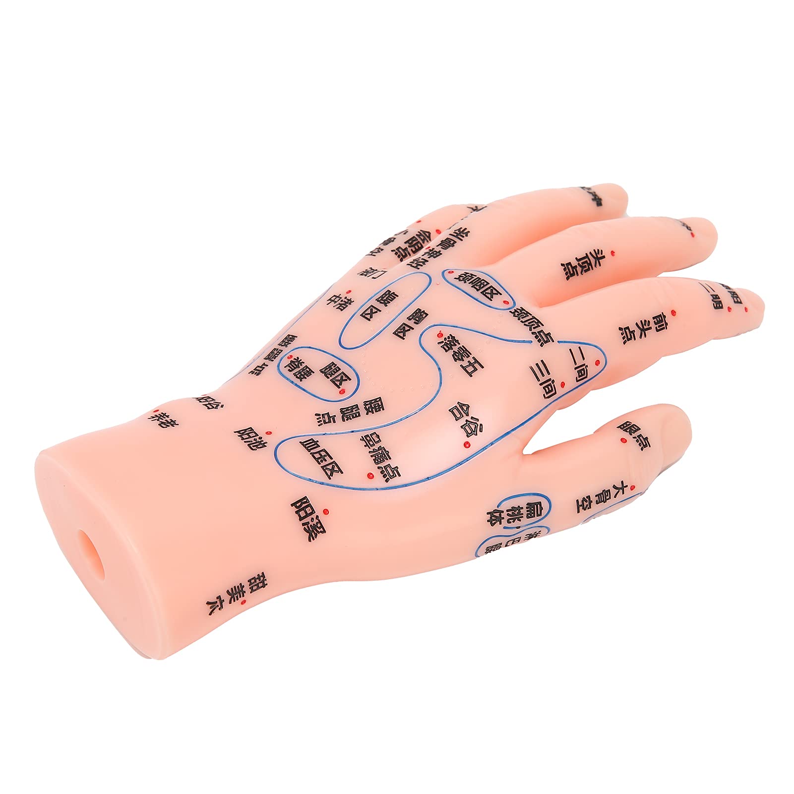 Amazon.co.jp: 手ツボモデル 手ツボモデル 手ツボモデル 左手ツボ押し