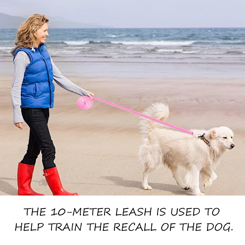 Long chien Laisse robuste et étanche pour chiens, grande laisse 10 m, verrouillage mousqueton, idéale pour petits et moyens animaux