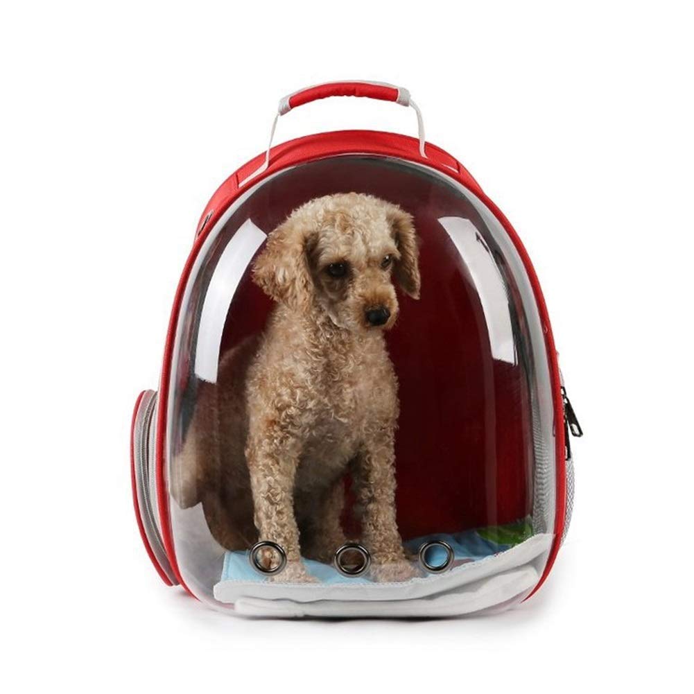 Pets Empire Pet Transparent Cat Carrier Backpack Puppy Kitty Breathable Carriers for Travel (Red) (B07W4VHQJS) Amazon Price History, Amazon Price Tracker