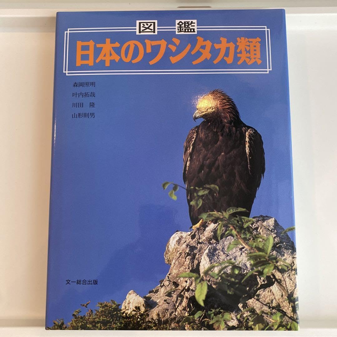 絶版】図鑑 日本のワシタカ類 生物図鑑 ページ