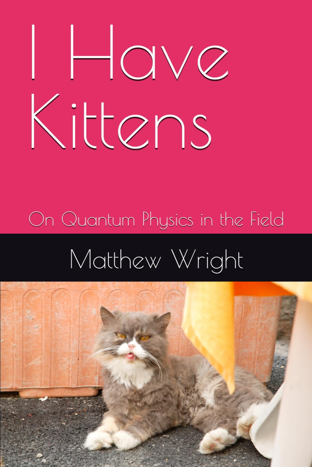 I Have Kittens: On Quantum Physics in the Field (Einstein Feynman Maxwell Wright)