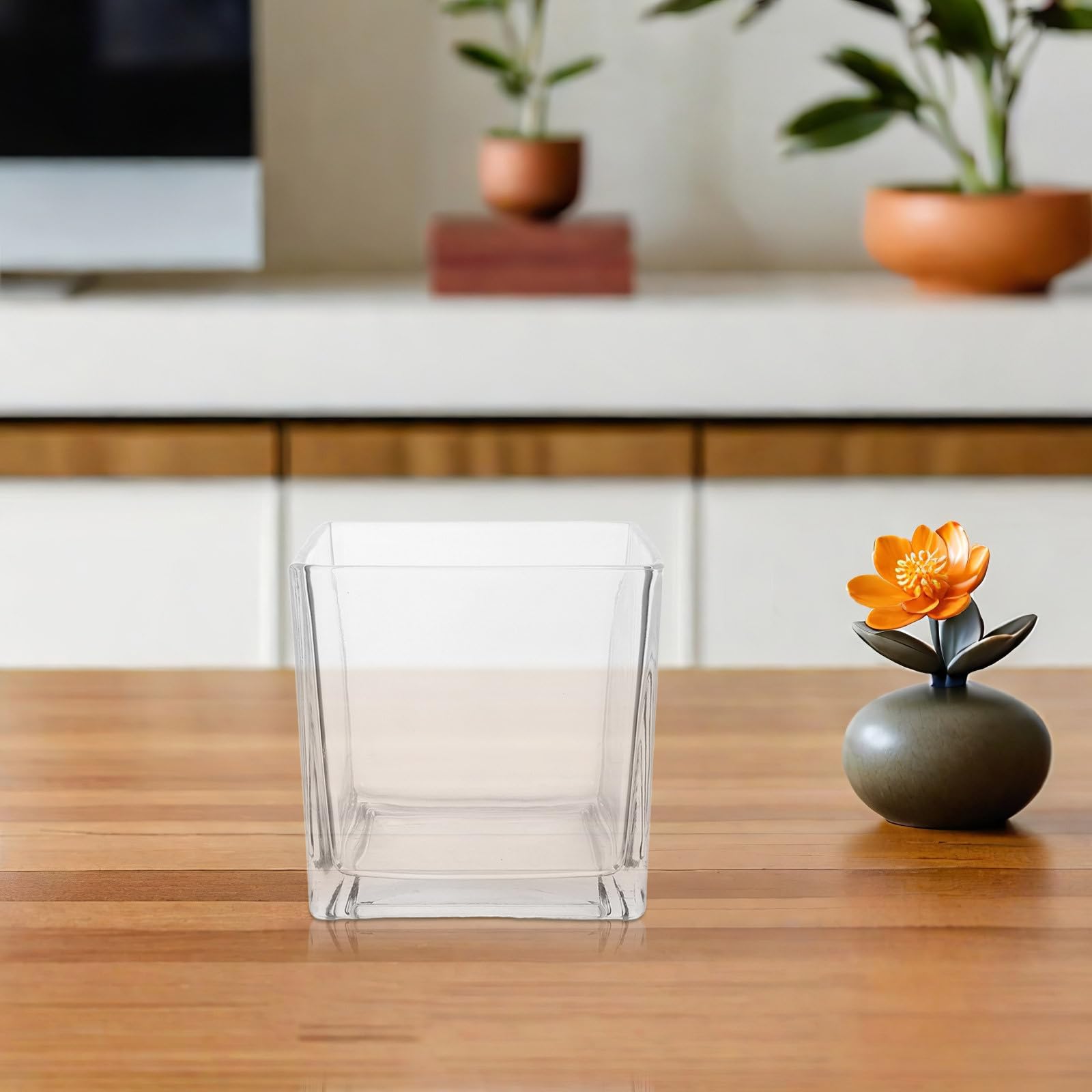 Würfelglasvase aus Glas für Hydrokulturblumen und Schreibtisch | Transparente Form, Schlicht und Schick, für Wohnzimmer und Büro, Passend für Blumen